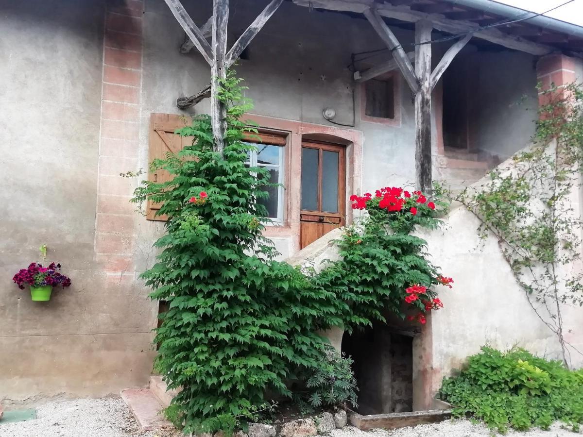La Maison Moja Préty Εξωτερικό φωτογραφία